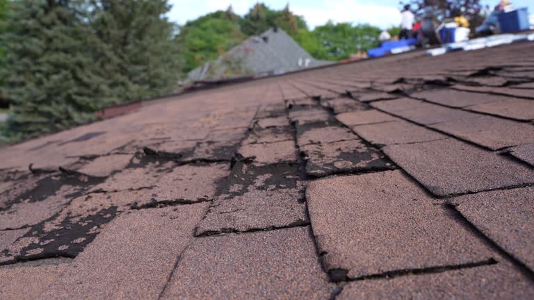 Best Wood Shake Roofing  in Williamsburg, PA
