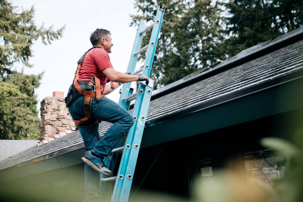 Best Roof Maintenance and Cleaning  in Williamsburg, PA