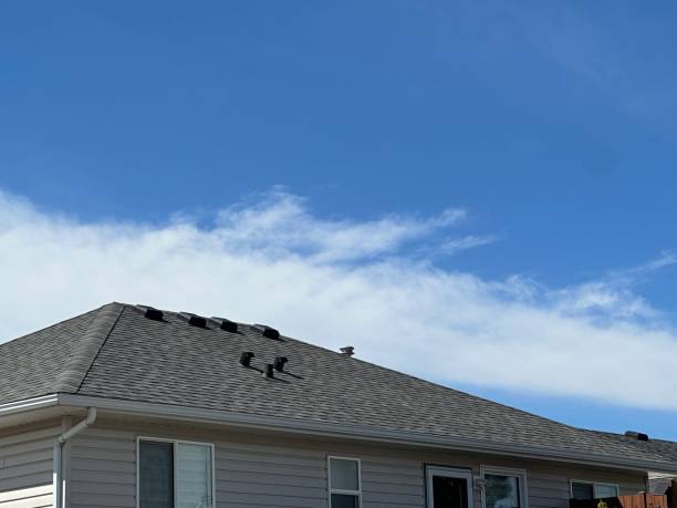 Best Chimney Flashing Repair  in Williamsburg, PA